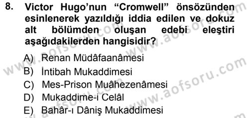 Eleştiri Tarihi Dersi 2014 - 2015 Yılı Tek Ders Sınav Soruları 8. Soru