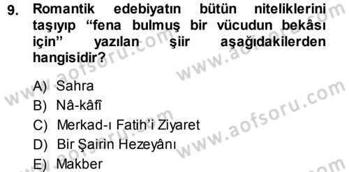 Eleştiri Tarihi Dersi 2014 - 2015 Yılı Tek Ders Sınav Soruları 9. Soru