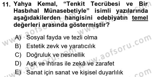 Eleştiri Tarihi Dersi 2015 - 2016 Yılı (Final) Dönem Sonu Sınav Soruları 11. Soru