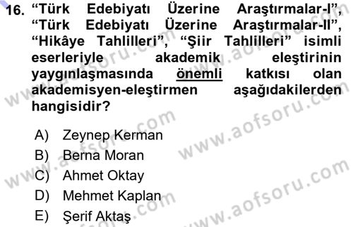 Eleştiri Tarihi Dersi 2015 - 2016 Yılı (Final) Dönem Sonu Sınav Soruları 16. Soru