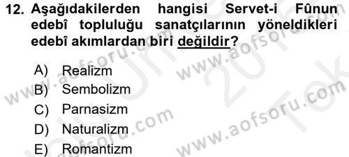 Eleştiri Tarihi Dersi 2015 - 2016 Yılı Tek Ders Sınav Soruları 12. Soru