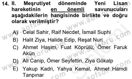 Eleştiri Tarihi Dersi 2015 - 2016 Yılı Tek Ders Sınav Soruları 14. Soru
