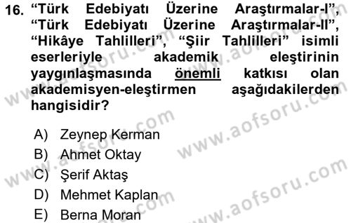 Eleştiri Tarihi Dersi 2015 - 2016 Yılı Tek Ders Sınav Soruları 16. Soru
