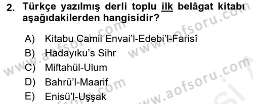 Eleştiri Tarihi Dersi 2015 - 2016 Yılı Tek Ders Sınav Soruları 2. Soru