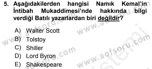 Eleştiri Tarihi Dersi 2015 - 2016 Yılı Tek Ders Sınav Soruları 5. Soru