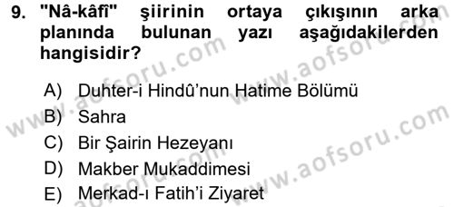 Eleştiri Tarihi Dersi 2015 - 2016 Yılı Tek Ders Sınav Soruları 9. Soru