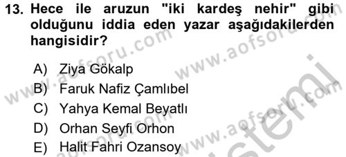 Eleştiri Tarihi Dersi 2016 - 2017 Yılı 3 Ders Sınav Soruları 13. Soru