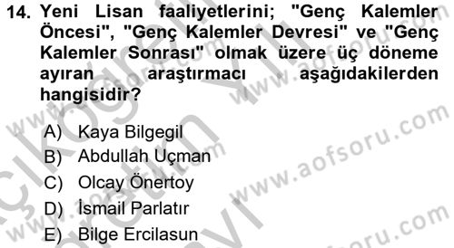 Eleştiri Tarihi Dersi 2016 - 2017 Yılı 3 Ders Sınav Soruları 14. Soru
