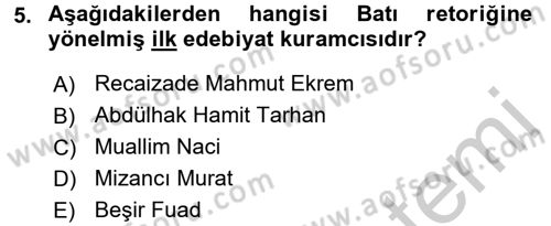 Eleştiri Tarihi Dersi 2016 - 2017 Yılı 3 Ders Sınav Soruları 5. Soru