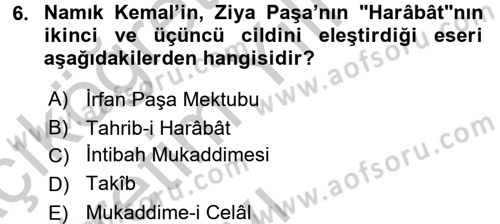 Eleştiri Tarihi Dersi 2016 - 2017 Yılı 3 Ders Sınav Soruları 6. Soru