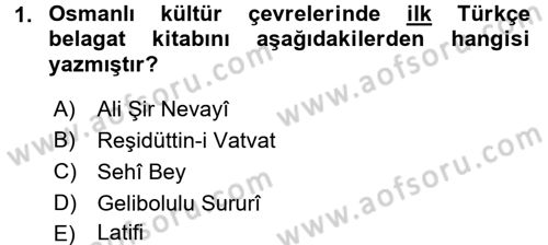 Eleştiri Tarihi Dersi Ara Sınavı Deneme Sınav Soruları 1. Soru