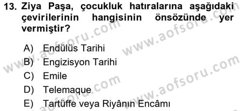 Eleştiri Tarihi Dersi 2016 - 2017 Yılı (Vize) Ara Sınav Soruları 13. Soru