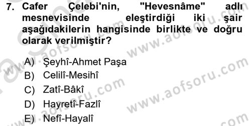 Eleştiri Tarihi Dersi Ara Sınavı Deneme Sınav Soruları 7. Soru