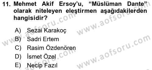 Eleştiri Tarihi Dersi 2016 - 2017 Yılı (Final) Dönem Sonu Sınav Soruları 11. Soru