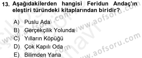 Eleştiri Tarihi Dersi 2016 - 2017 Yılı (Final) Dönem Sonu Sınav Soruları 13. Soru