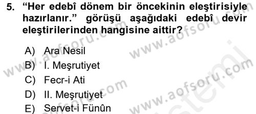 Eleştiri Tarihi Dersi 2016 - 2017 Yılı (Final) Dönem Sonu Sınav Soruları 5. Soru