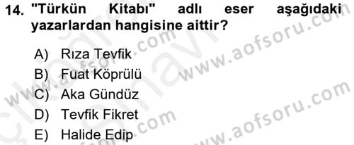 Eleştiri Tarihi Dersi 2017 - 2018 Yılı 3 Ders Sınav Soruları 14. Soru