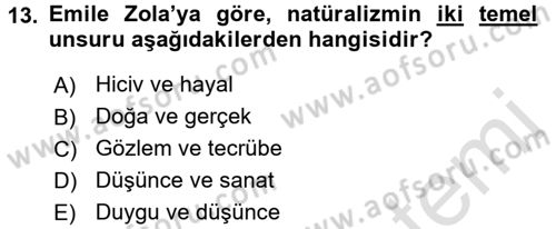 Eleştiri Tarihi Dersi Ara Sınavı Deneme Sınav Soruları 13. Soru