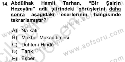 Eleştiri Tarihi Dersi 2017 - 2018 Yılı (Vize) Ara Sınav Soruları 14. Soru