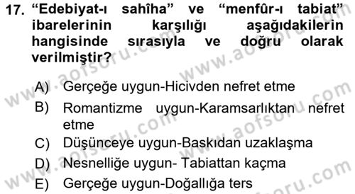 Eleştiri Tarihi Dersi 2017 - 2018 Yılı (Vize) Ara Sınav Soruları 17. Soru