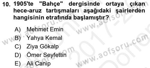 Eleştiri Tarihi Dersi 2017 - 2018 Yılı (Final) Dönem Sonu Sınav Soruları 10. Soru
