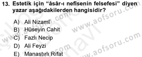 Eleştiri Tarihi Dersi 2017 - 2018 Yılı (Final) Dönem Sonu Sınav Soruları 13. Soru