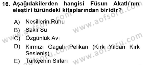 Eleştiri Tarihi Dersi 2017 - 2018 Yılı (Final) Dönem Sonu Sınav Soruları 16. Soru