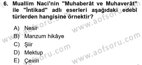 Eleştiri Tarihi Dersi 2017 - 2018 Yılı (Final) Dönem Sonu Sınav Soruları 6. Soru