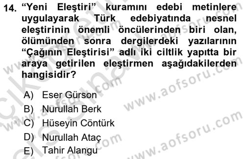 Eleştiri Tarihi Dersi 2018 - 2019 Yılı 3 Ders Sınav Soruları 14. Soru