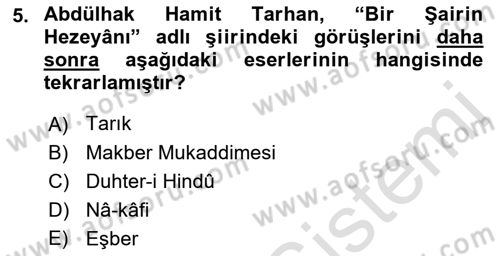 Eleştiri Tarihi Dersi 2018 - 2019 Yılı 3 Ders Sınav Soruları 5. Soru