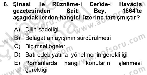 Eleştiri Tarihi Dersi 2018 - 2019 Yılı 3 Ders Sınav Soruları 6. Soru