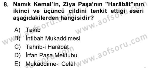 Eleştiri Tarihi Dersi 2018 - 2019 Yılı 3 Ders Sınav Soruları 8. Soru