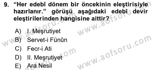 Eleştiri Tarihi Dersi 2018 - 2019 Yılı 3 Ders Sınav Soruları 9. Soru