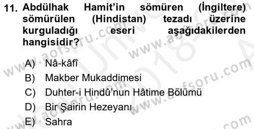 Eleştiri Tarihi Dersi Ara Sınavı Deneme Sınav Soruları 11. Soru