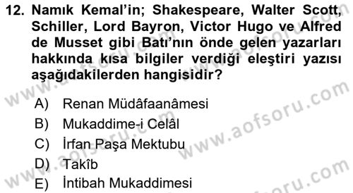 Eleştiri Tarihi Dersi Ara Sınavı Deneme Sınav Soruları 12. Soru