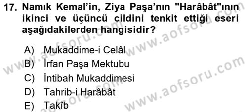 Eleştiri Tarihi Dersi Ara Sınavı Deneme Sınav Soruları 17. Soru