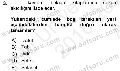 Eleştiri Tarihi Dersi 2018 - 2019 Yılı (Vize) Ara Sınav Soruları 3. Soru