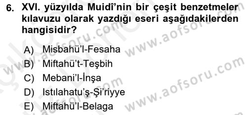 Eleştiri Tarihi Dersi Ara Sınavı Deneme Sınav Soruları 6. Soru