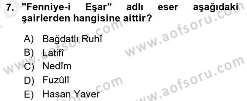 Eleştiri Tarihi Dersi 2018 - 2019 Yılı (Vize) Ara Sınav Soruları 7. Soru