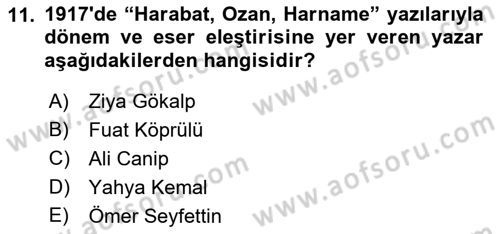 Eleştiri Tarihi Dersi 2018 - 2019 Yılı (Final) Dönem Sonu Sınav Soruları 11. Soru