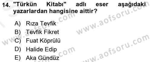 Eleştiri Tarihi Dersi 2018 - 2019 Yılı (Final) Dönem Sonu Sınav Soruları 14. Soru