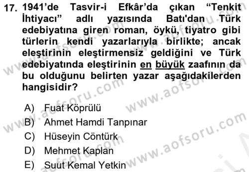 Eleştiri Tarihi Dersi 2018 - 2019 Yılı (Final) Dönem Sonu Sınav Soruları 17. Soru