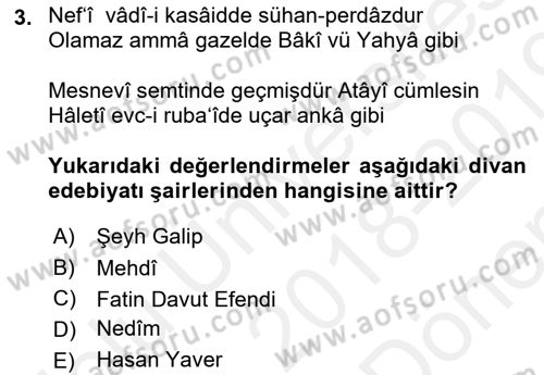 Eleştiri Tarihi Dersi 2018 - 2019 Yılı (Final) Dönem Sonu Sınav Soruları 3. Soru