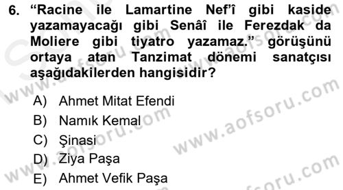 Eleştiri Tarihi Dersi 2018 - 2019 Yılı (Final) Dönem Sonu Sınav Soruları 6. Soru
