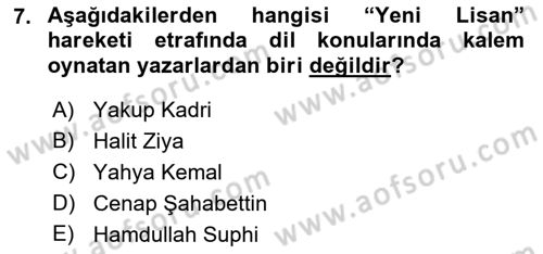 Eleştiri Tarihi Dersi 2018 - 2019 Yılı (Final) Dönem Sonu Sınav Soruları 7. Soru