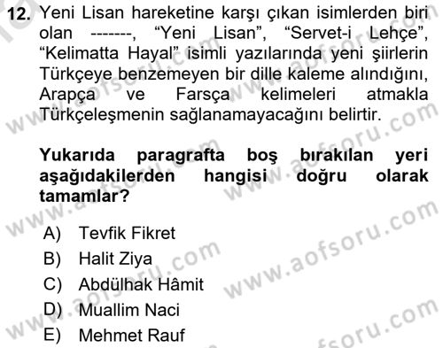 Eleştiri Tarihi Dersi 2020 - 2021 Yılı Yaz Okulu Sınav Soruları 12. Soru