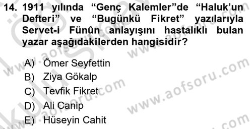 Eleştiri Tarihi Dersi 2020 - 2021 Yılı Yaz Okulu Sınav Soruları 14. Soru
