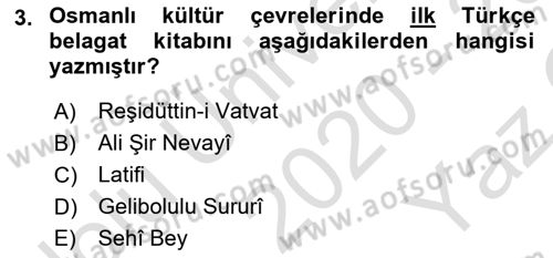 Eleştiri Tarihi Dersi 2020 - 2021 Yılı Yaz Okulu Sınav Soruları 3. Soru