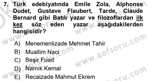 Eleştiri Tarihi Dersi 2020 - 2021 Yılı Yaz Okulu Sınav Soruları 7. Soru