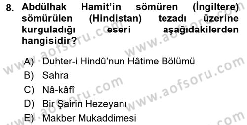 Eleştiri Tarihi Dersi 2020 - 2021 Yılı Yaz Okulu Sınav Soruları 8. Soru